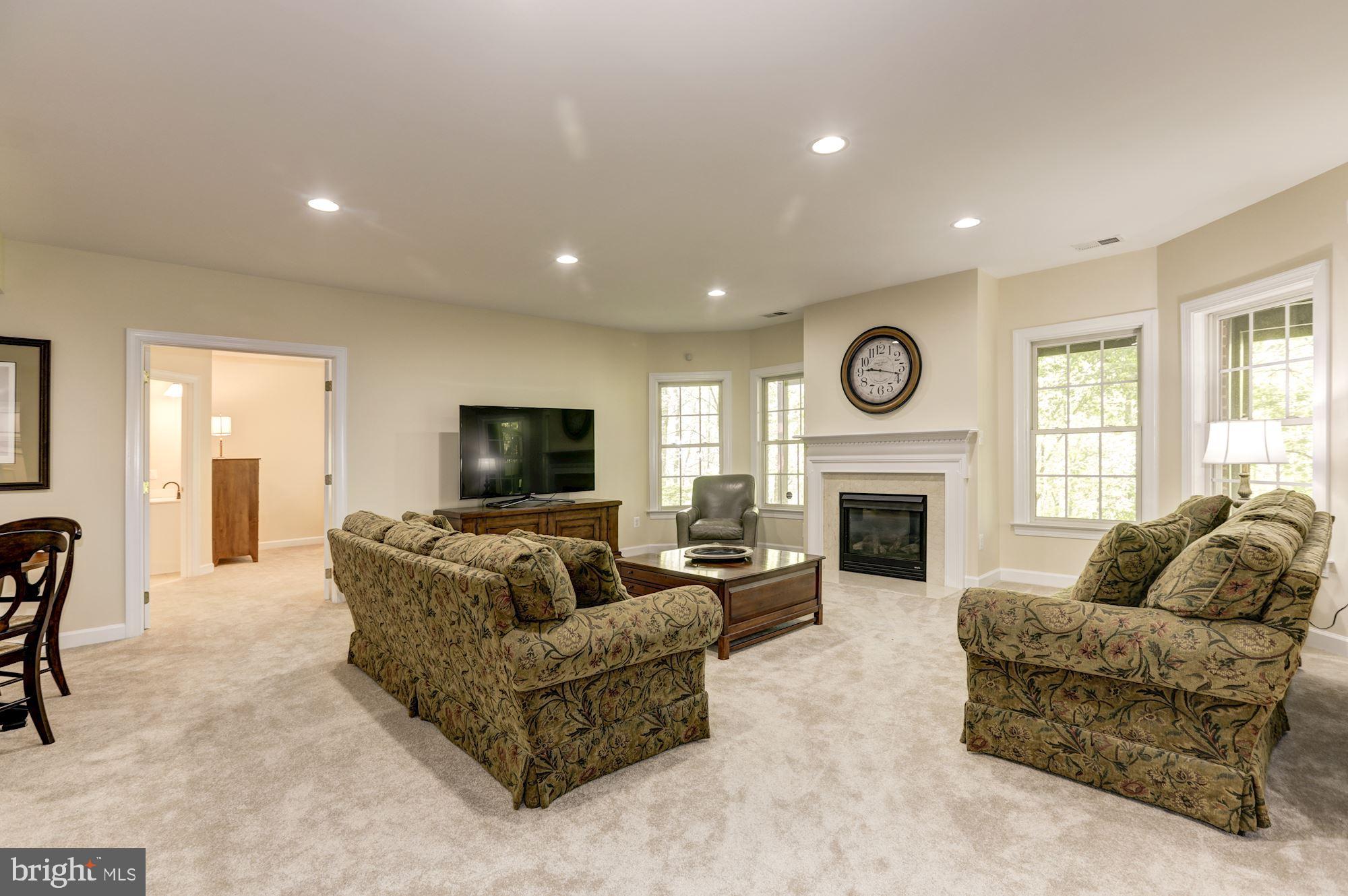 43285 Overview Place Leesburg, VA 20176 - Photo 81 of 91 Lower level recreation room with gas fireplace