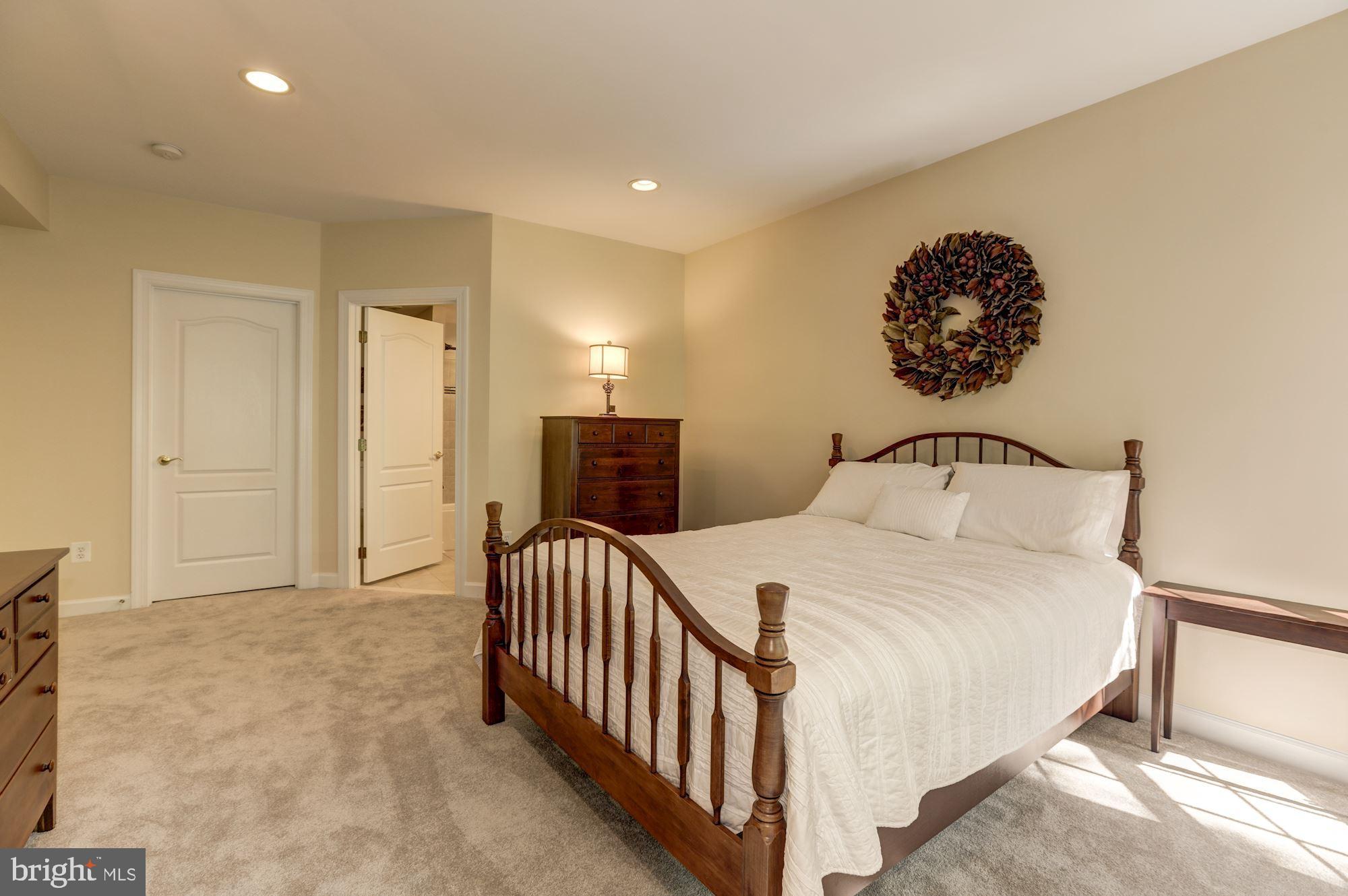 43285 Overview Place Leesburg, VA 20176 - Photo 84 of 91 Lower Level bedroom with full bath