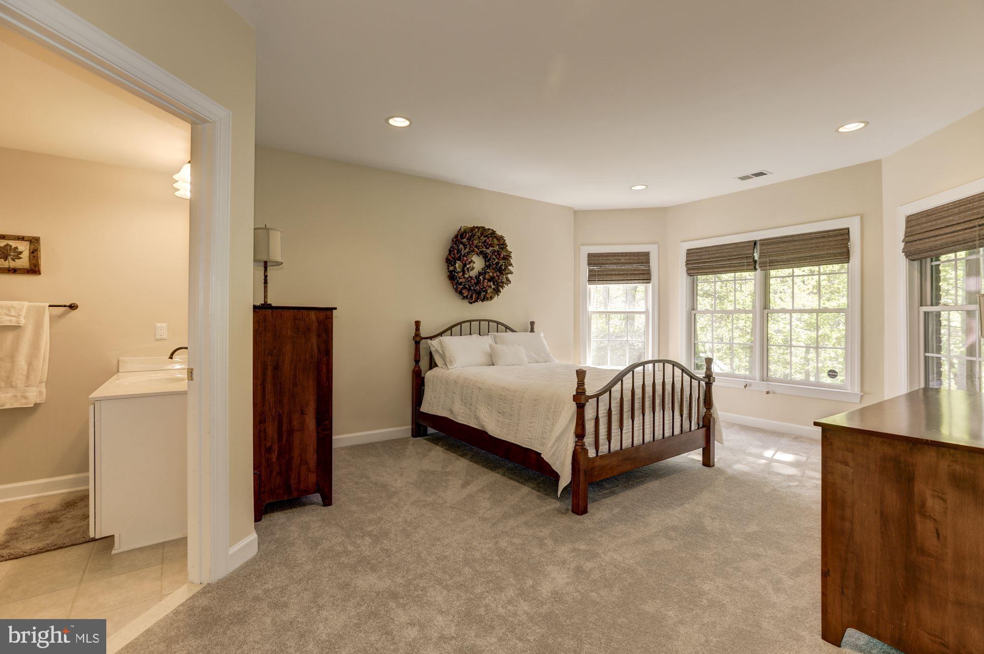 43285 Overview Place Leesburg, VA 20176 - Photo 85 of 91 Lower level bedroom with full bath