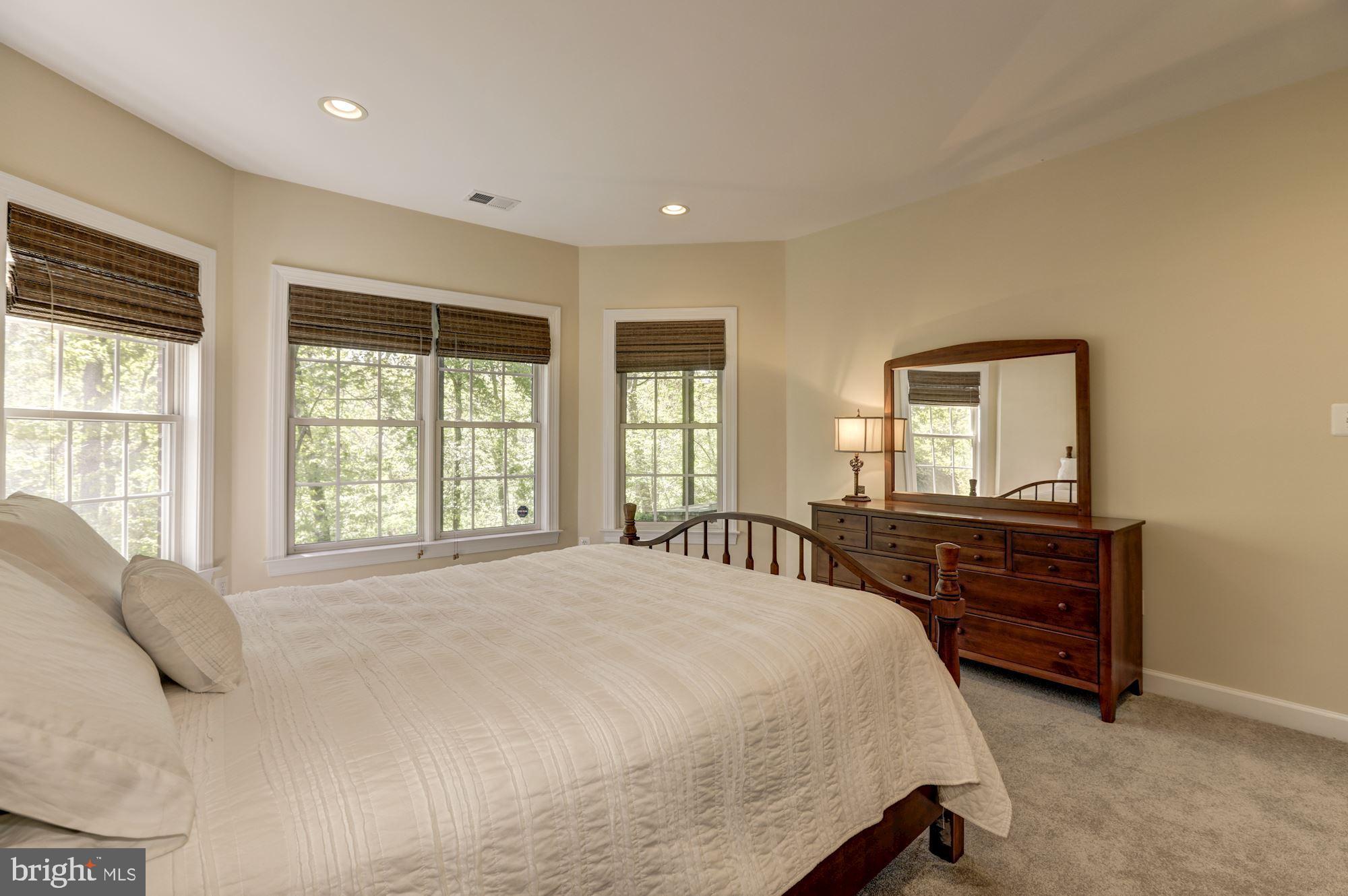 43285 Overview Place Leesburg, VA 20176 - Photo 86 of 91 Lower level bedroom 5 with plenty of light