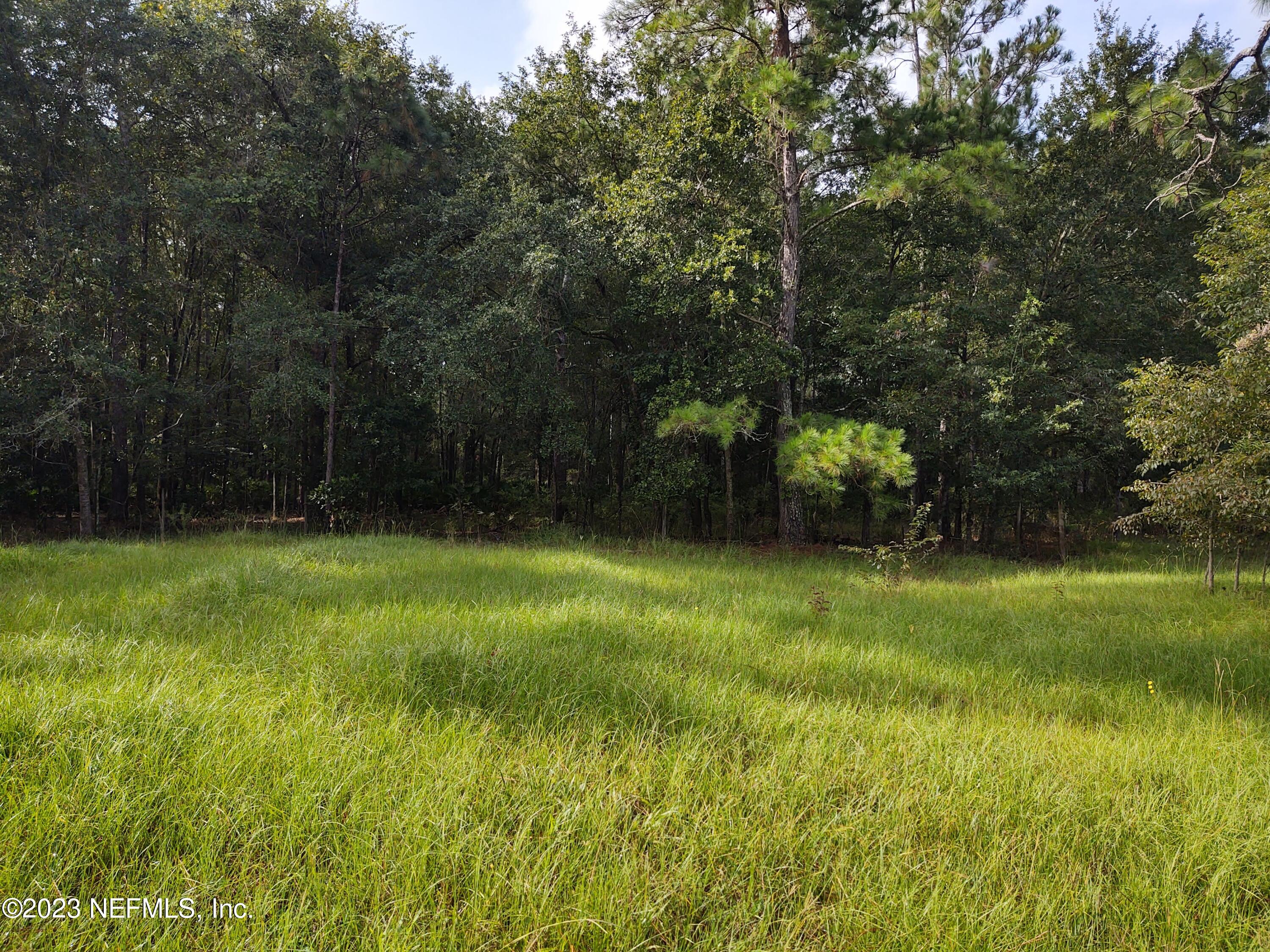 2057 Mallard Road Middleburg, FL 32068 - Photo 12 of 15 IMG_20230821_094109945_HDR