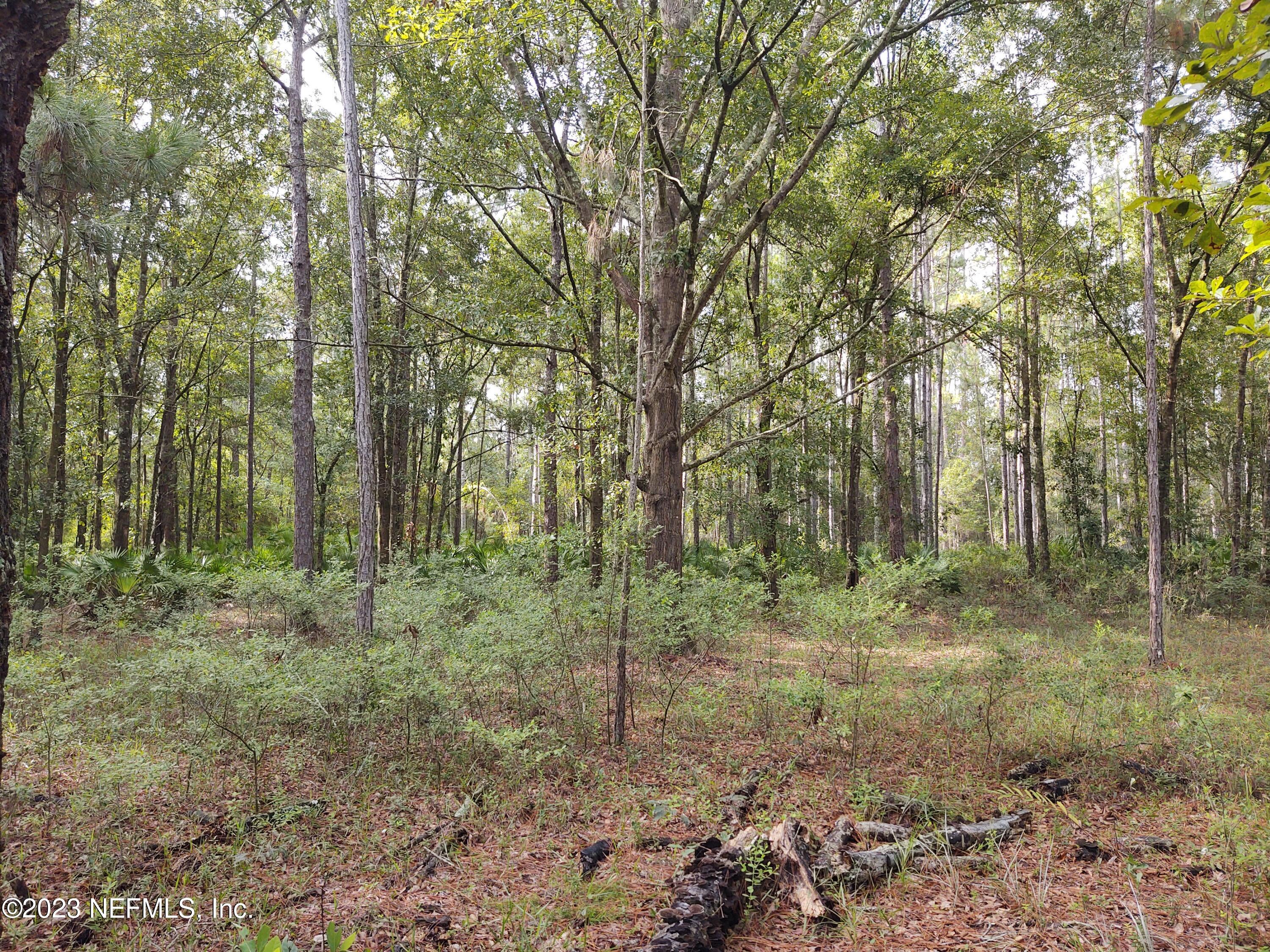 2057 Mallard Road Middleburg, FL 32068 - Photo 13 of 15 IMG_20230821_094154485