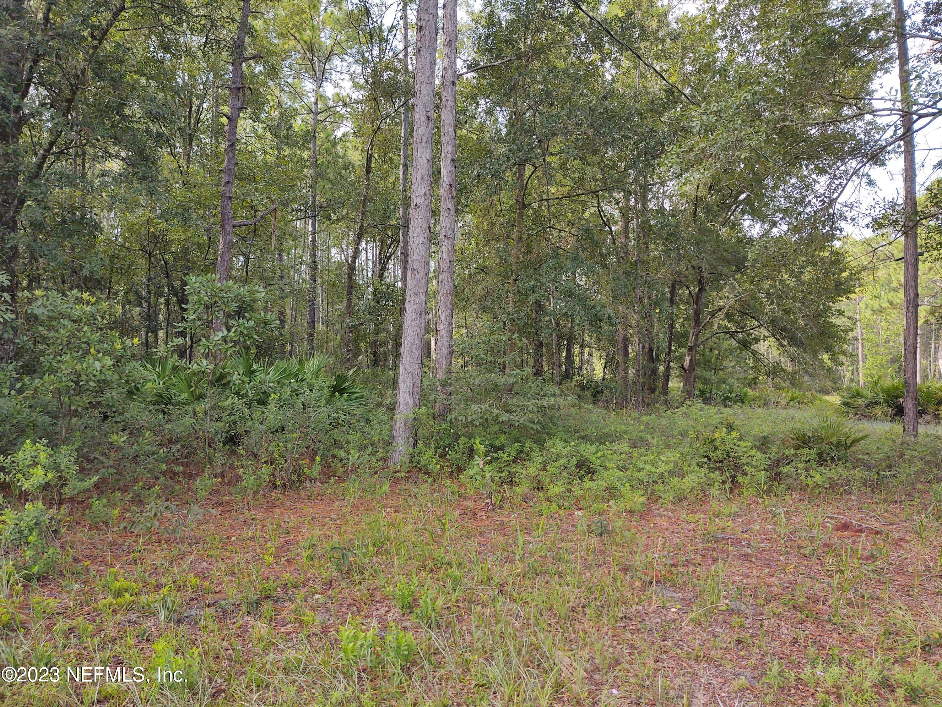 2057 Mallard Road Middleburg, FL 32068 - Photo 14 of 15 IMG_20230821_094233302