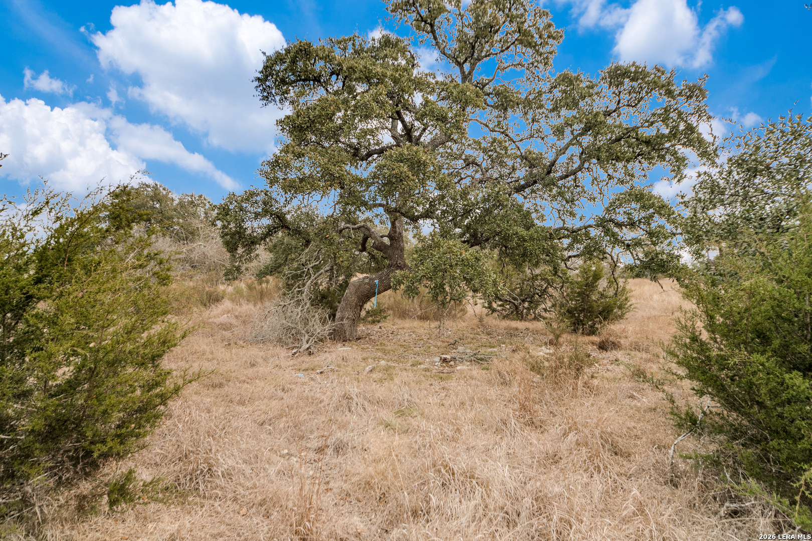 Lot 13 Cordillera Ridge Boerne, TX 78006 - Photo 11 of 13