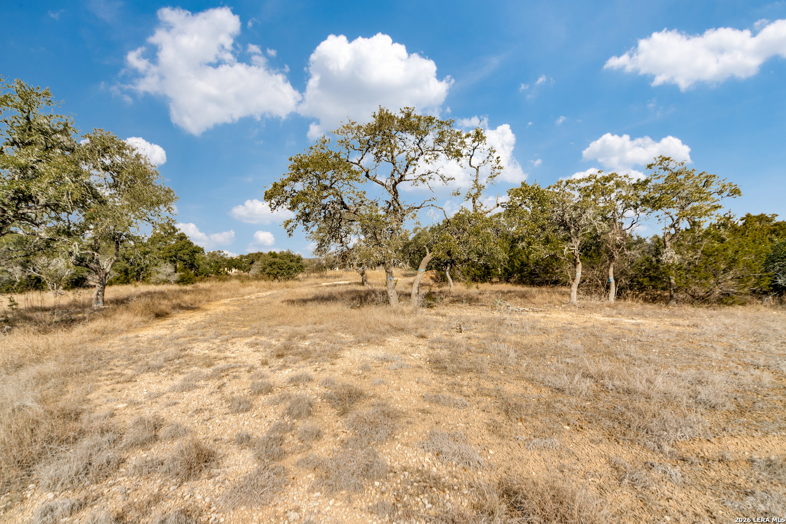 Lot 13 Cordillera Ridge Boerne, TX 78006 - Photo 4 of 13