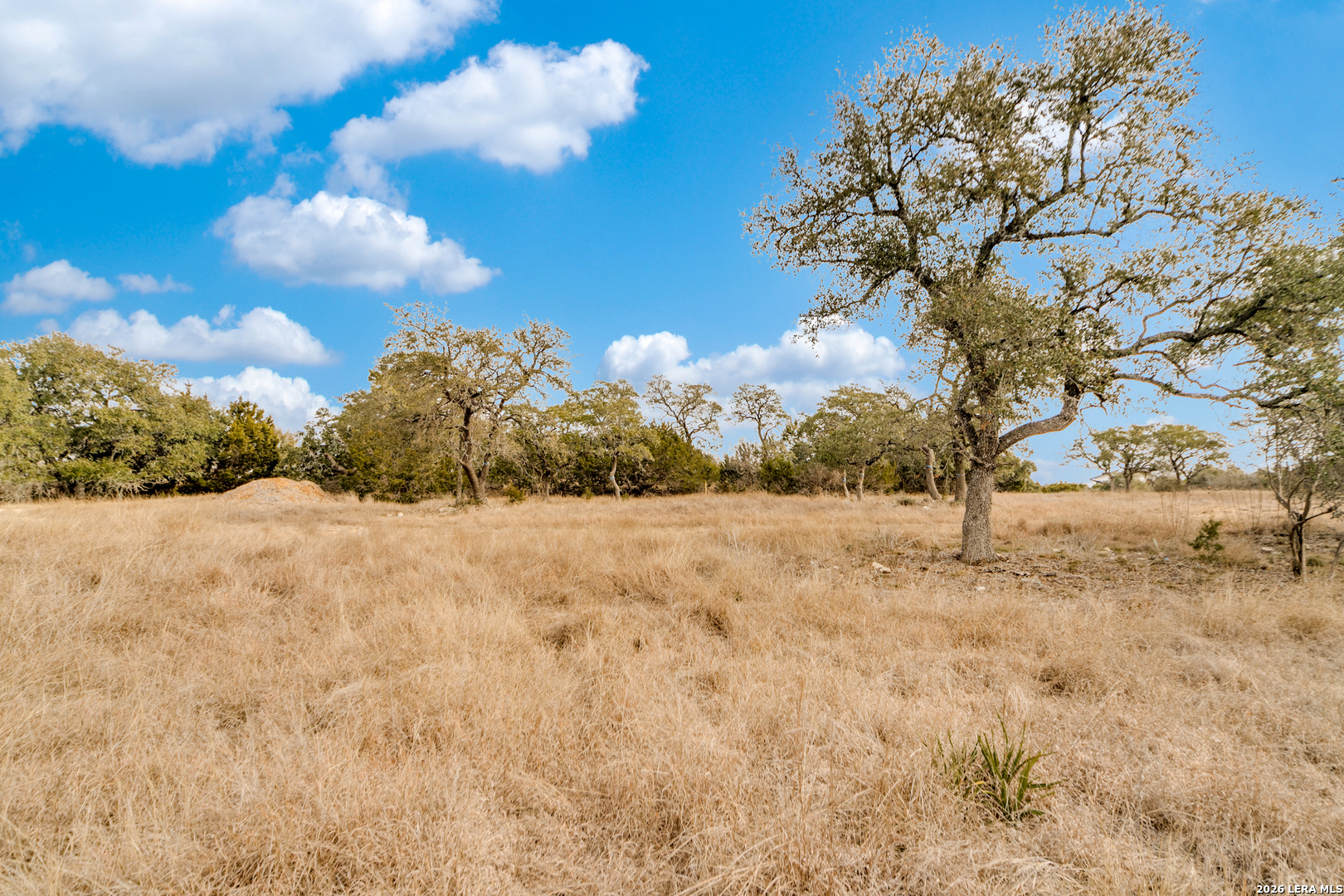 Lot 13 Cordillera Ridge Boerne, TX 78006 - Photo 7 of 13