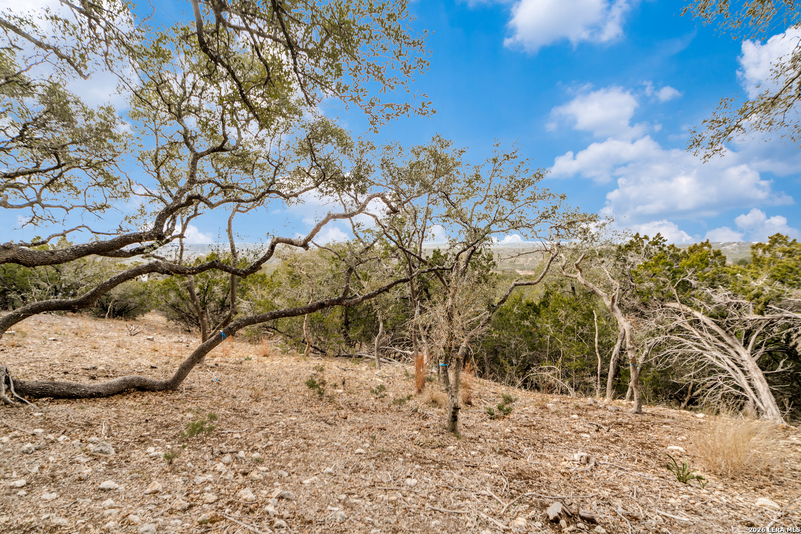 Lot 13 Cordillera Ridge Boerne, TX 78006 - Photo 8 of 13