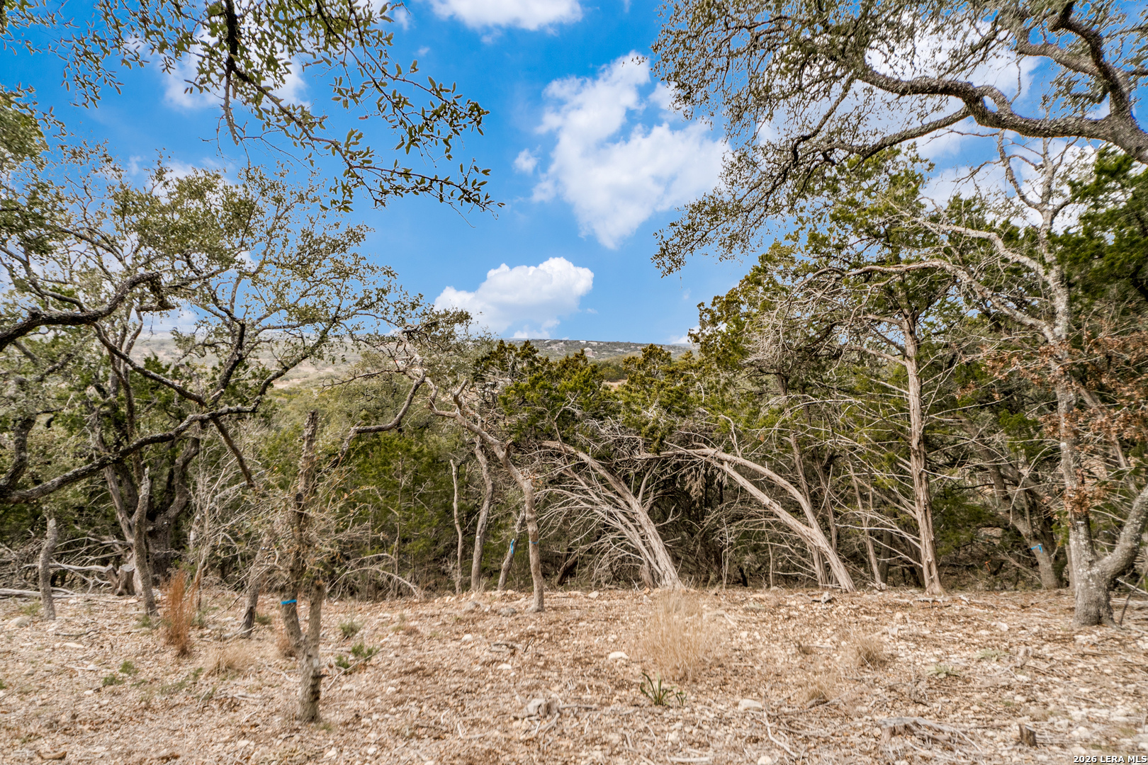Lot 13 Cordillera Ridge Boerne, TX 78006 - Photo 9 of 13