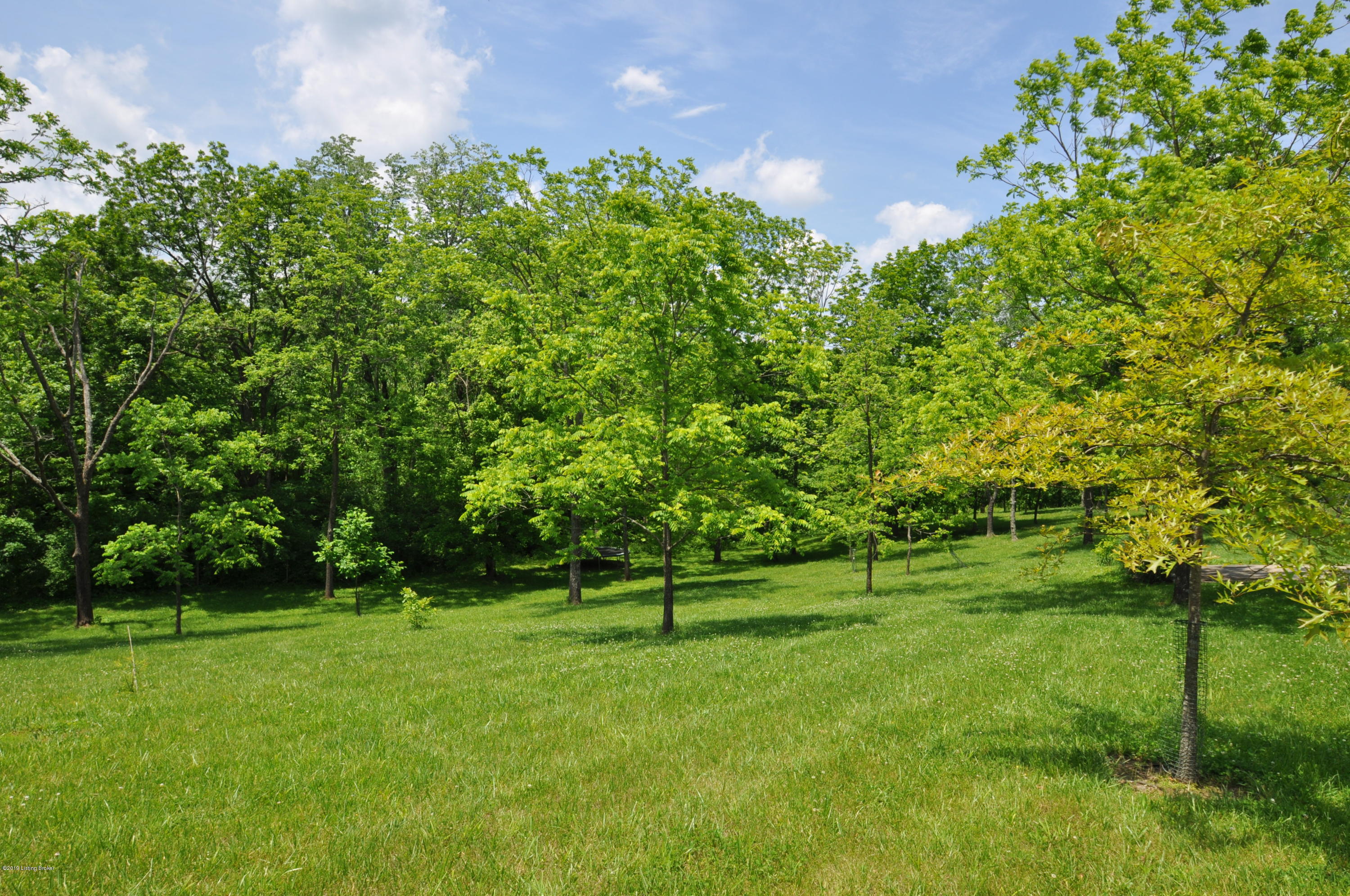 8868 Lagrange Road Smithfield, KY 40068 - Photo 97 of 98 DSC_0368