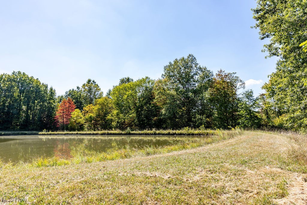 8131 Leffingwell Road Canfield, OH 44406 - Photo 7 of 37 View of wooded area featuring a water view