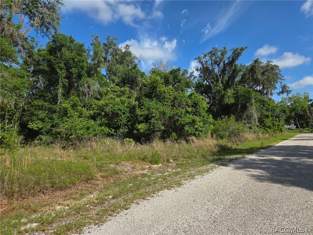 4240 South Kenvera Loop Inverness, FL 34450 - Photo 11 of 12