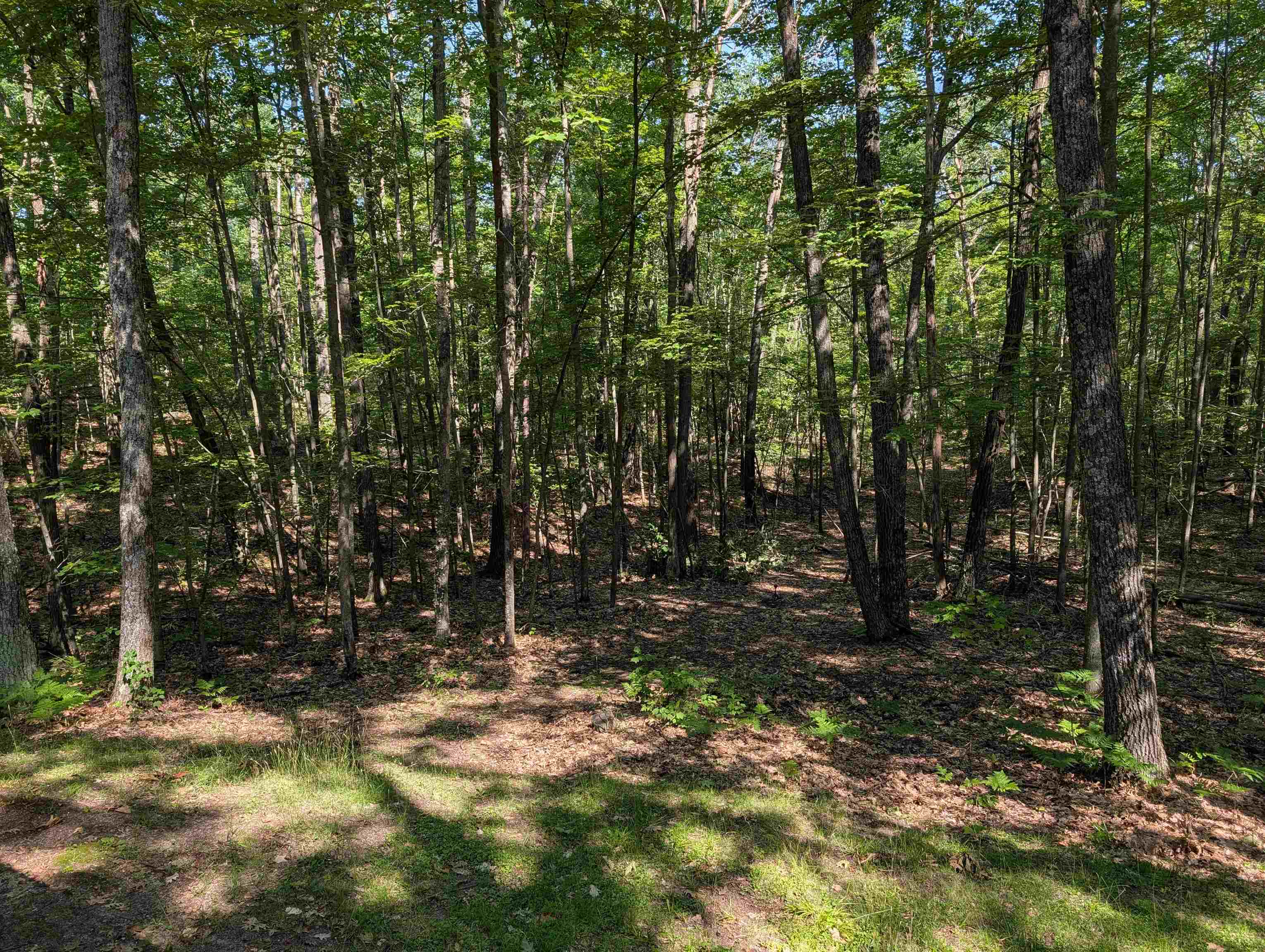 870 South Ross Road Barton City, MI 48705 - Photo 15 of 21 1950008-2aafca73-2114-4d39-befe-3dd4236eeedc.JPG