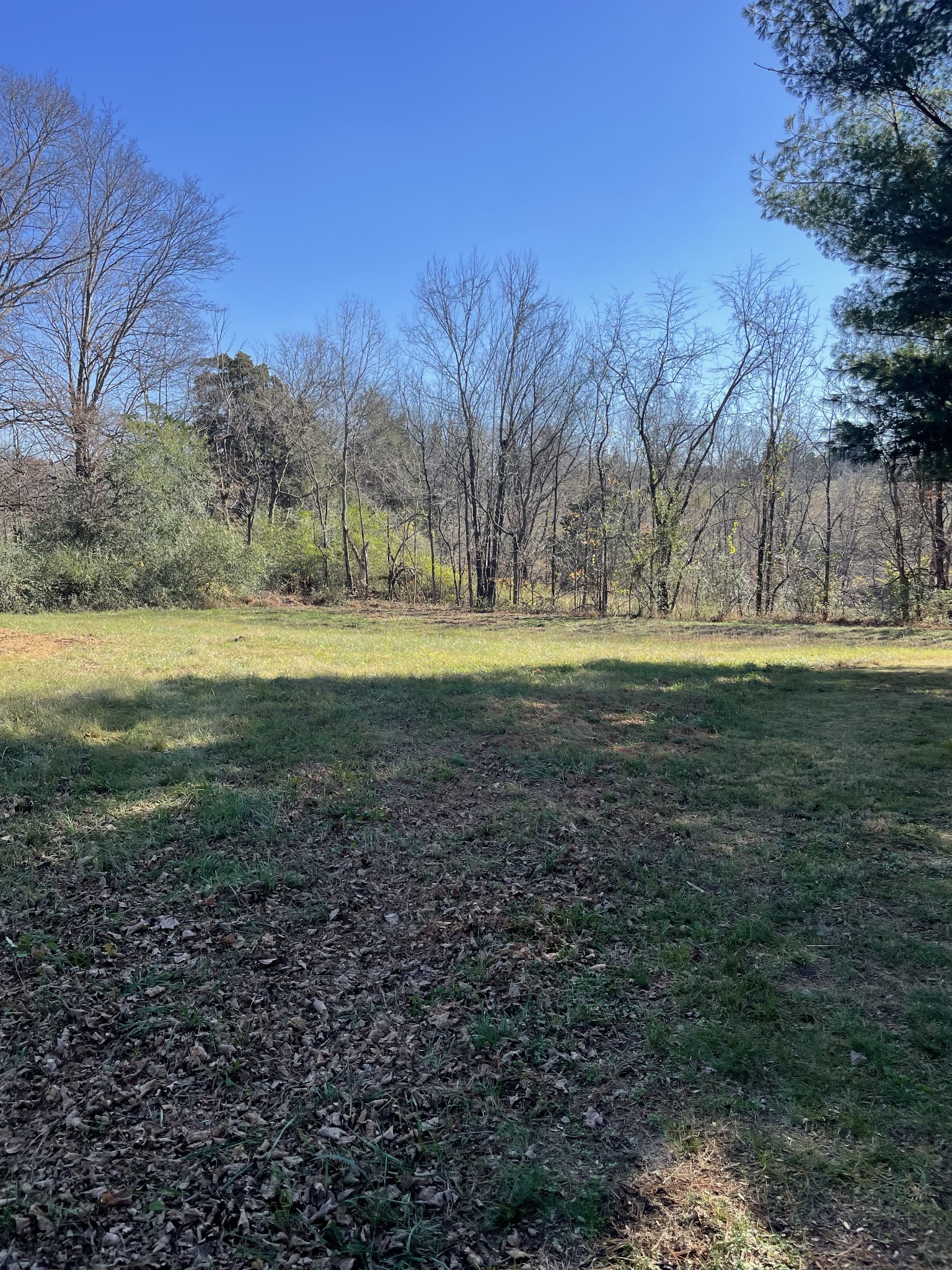 0 Harve Knight Road Red Boiling Springs, TN 37150 - Photo 1 of 1