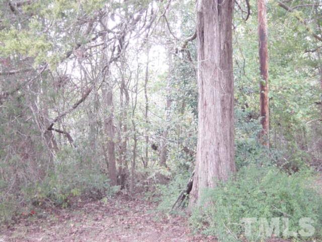 689 George Sherman Road Rougemont, NC 27572 - Photo 1 of 4