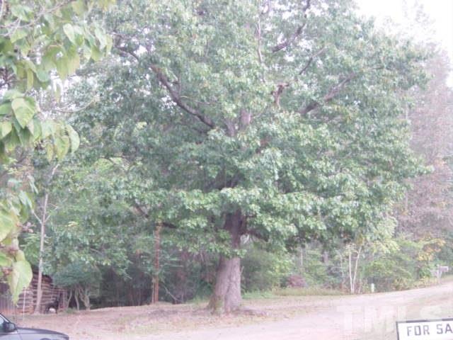689 George Sherman Road Rougemont, NC 27572 - Photo 2 of 4