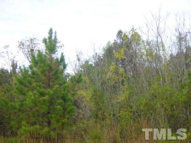 689 George Sherman Road Rougemont, NC 27572 - Photo 3 of 4