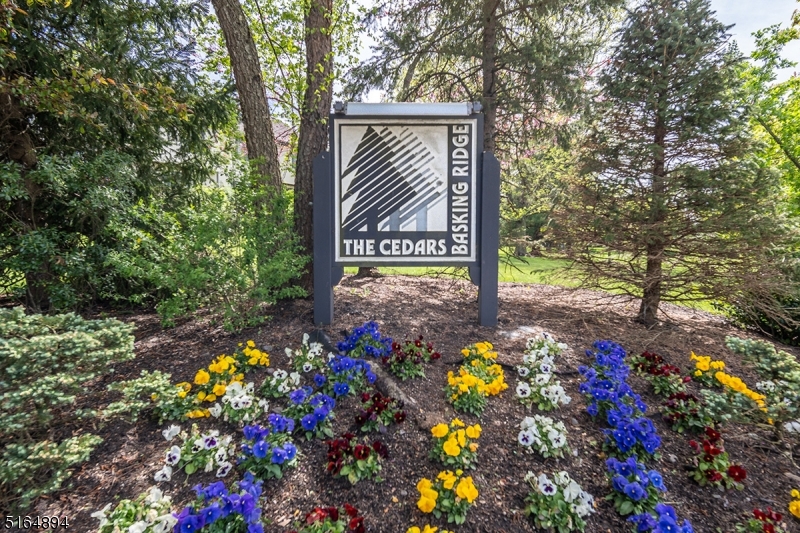 245 Crabtree Court Basking Ridge, NJ 07920 - Photo 2 of 21