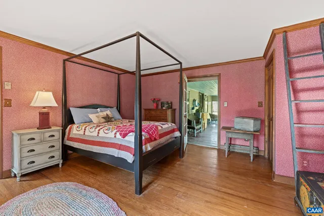 a view of a lush green space with lots of trees