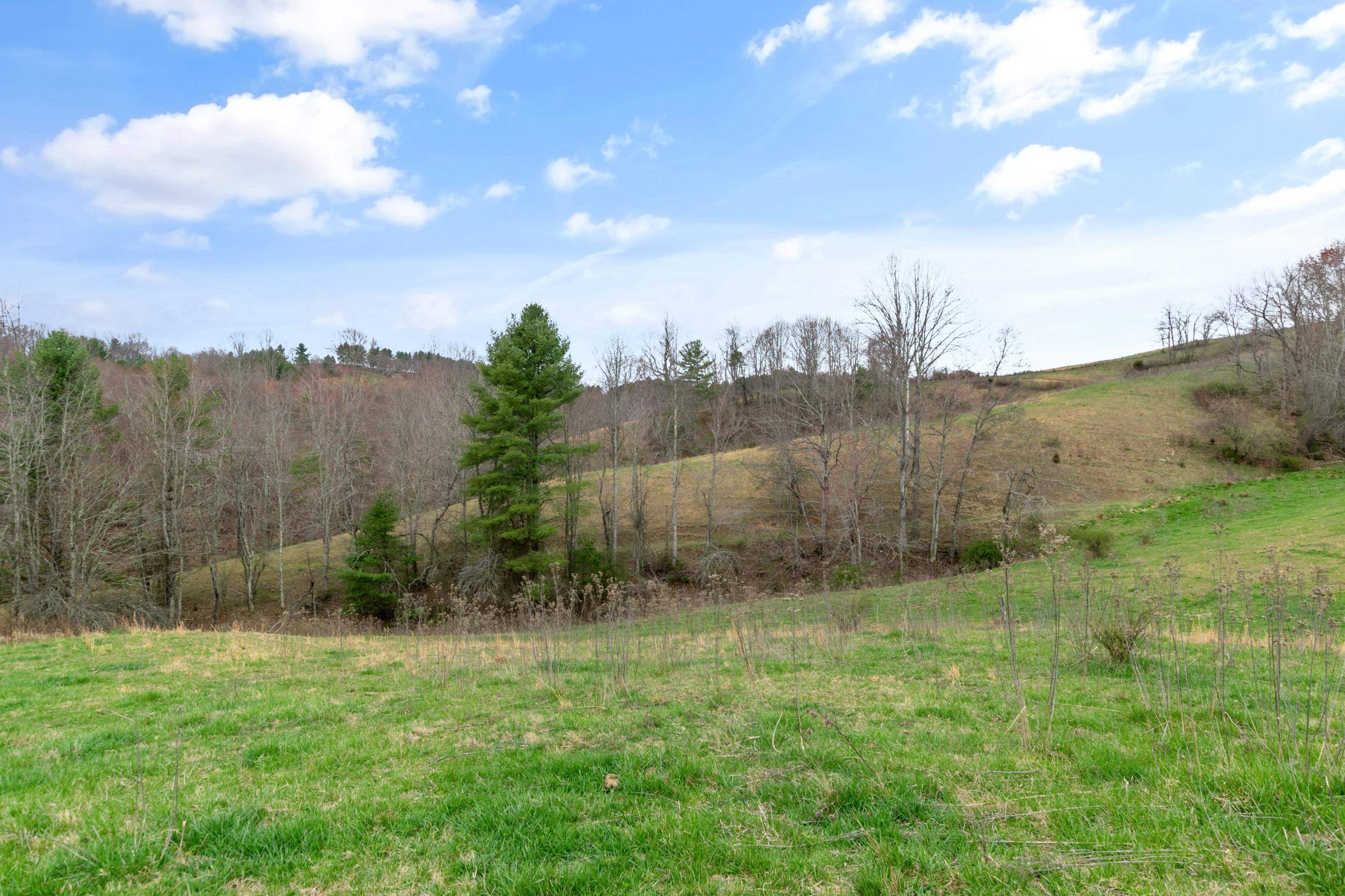 497 Horse Ridge Road Northwest Willis, VA 24380 - Photo 28 of 64 Gallery Image 28