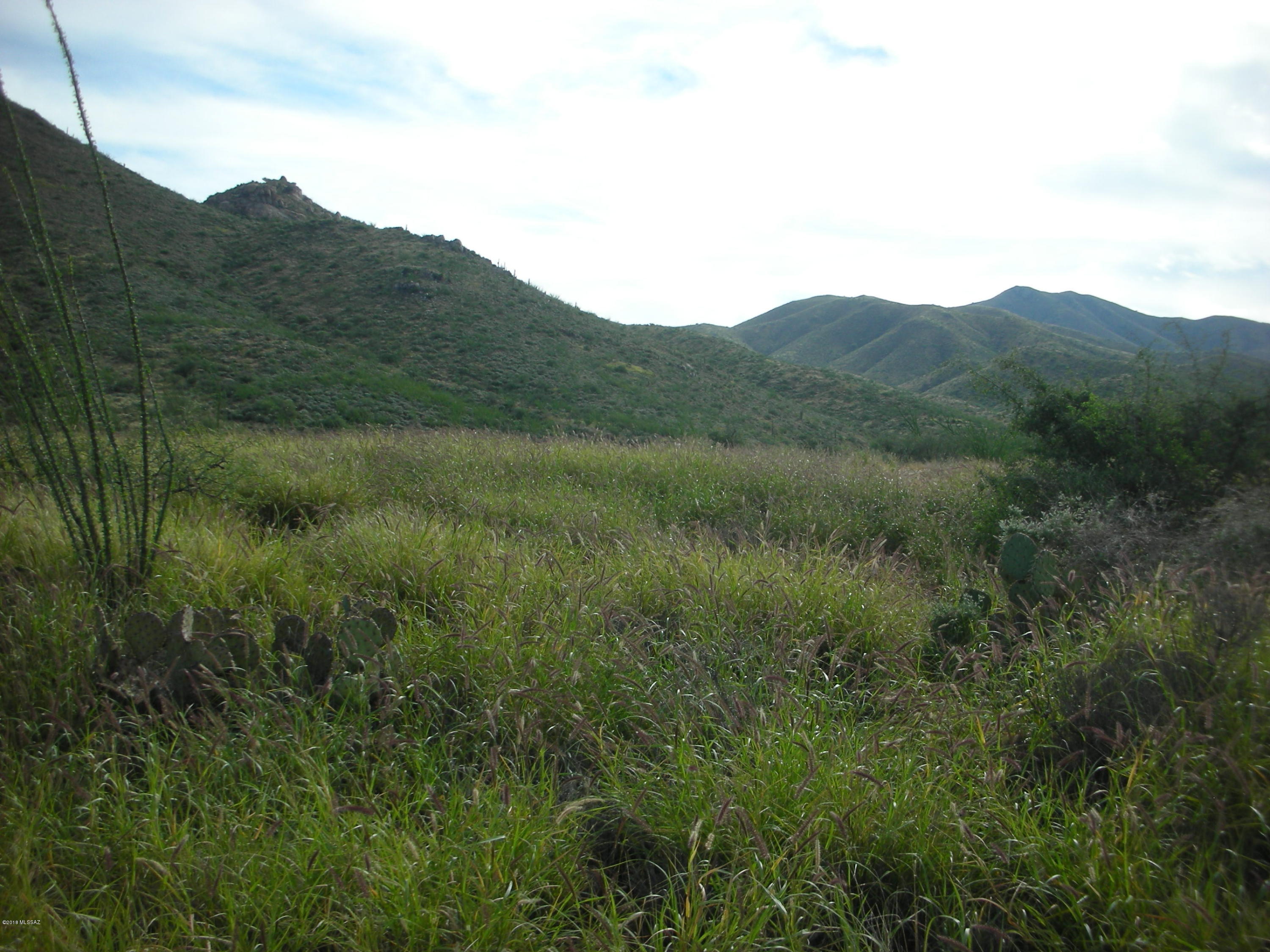 10600 East Ocotillo Rim Trail Vail, AZ 85641 - Photo 13 of 24 Gallery Image 13