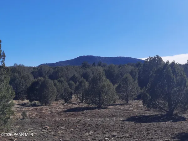 a view of a backyard with mountain view