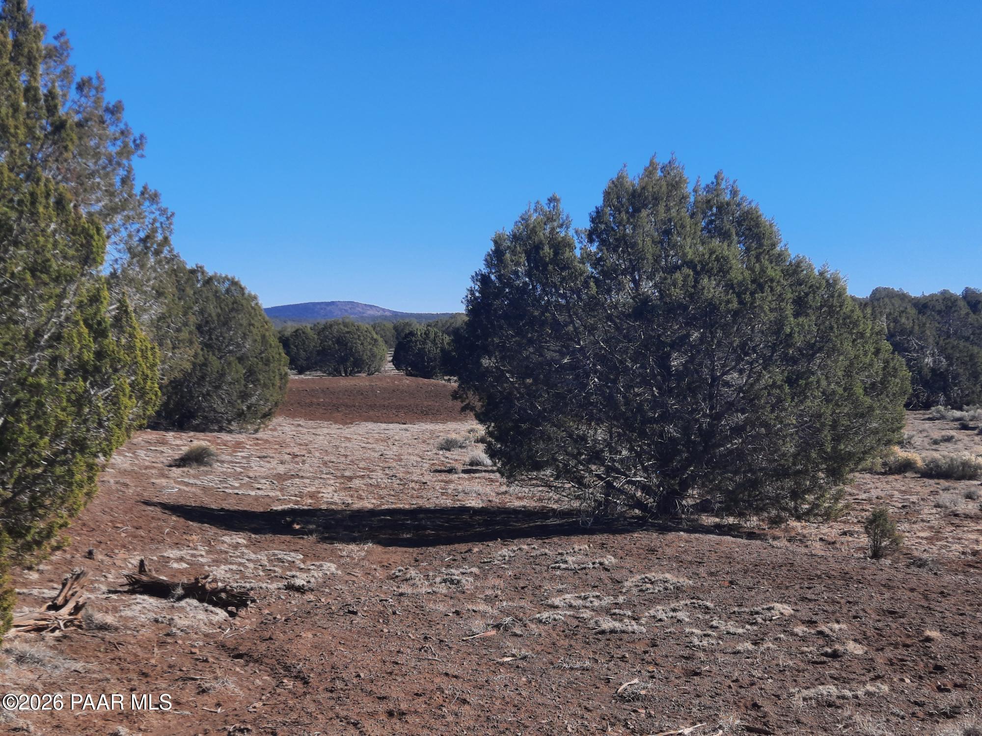 Lot 850 West Fort Rock Road Seligman, AZ 86337 - Photo 11 of 16 20260205_131621