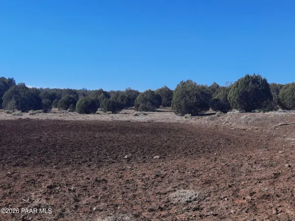 a view of a field with a tree in the background
