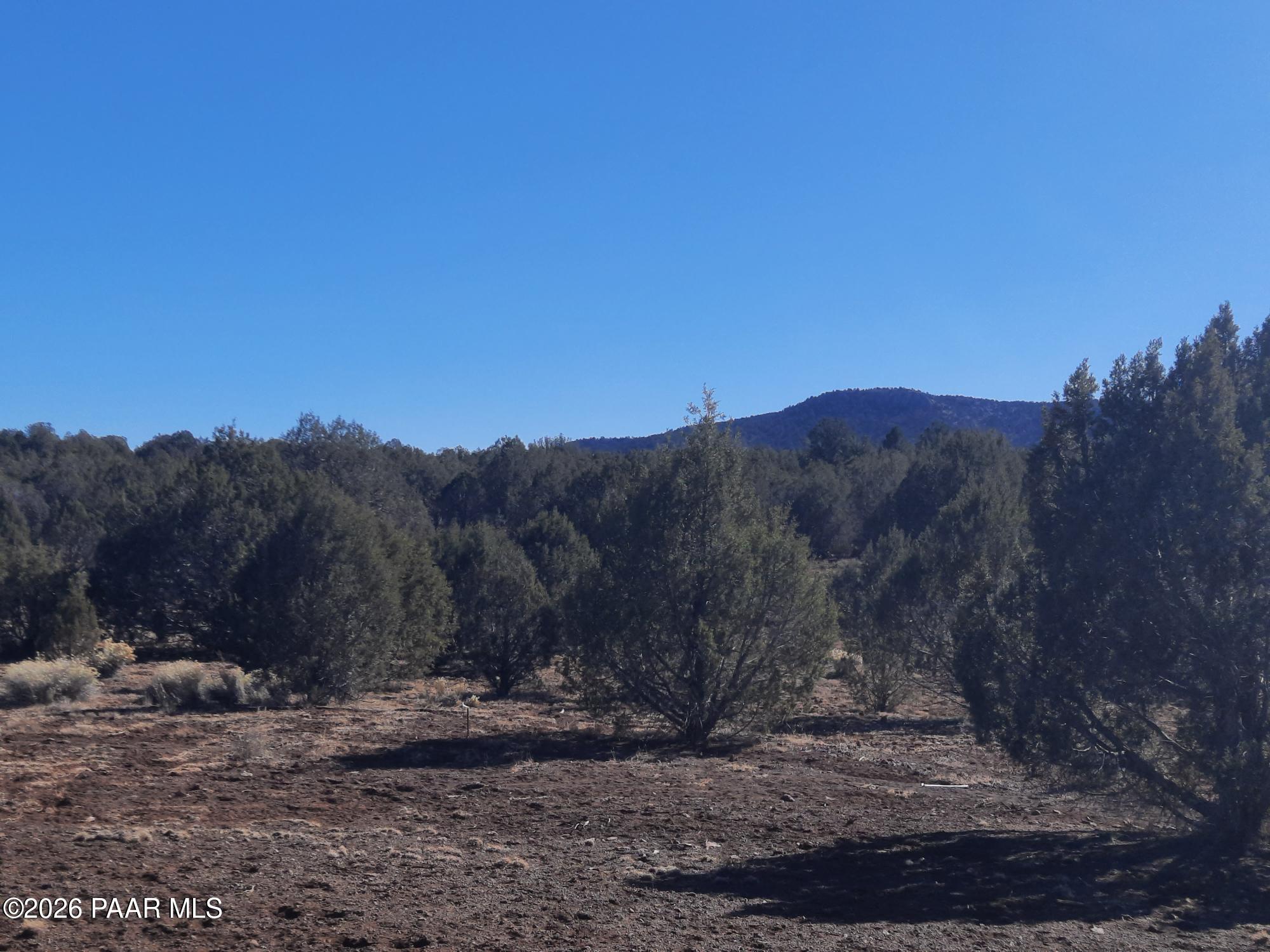 Lot 850 West Fort Rock Road Seligman, AZ 86337 - Photo 13 of 16 20260205_131632