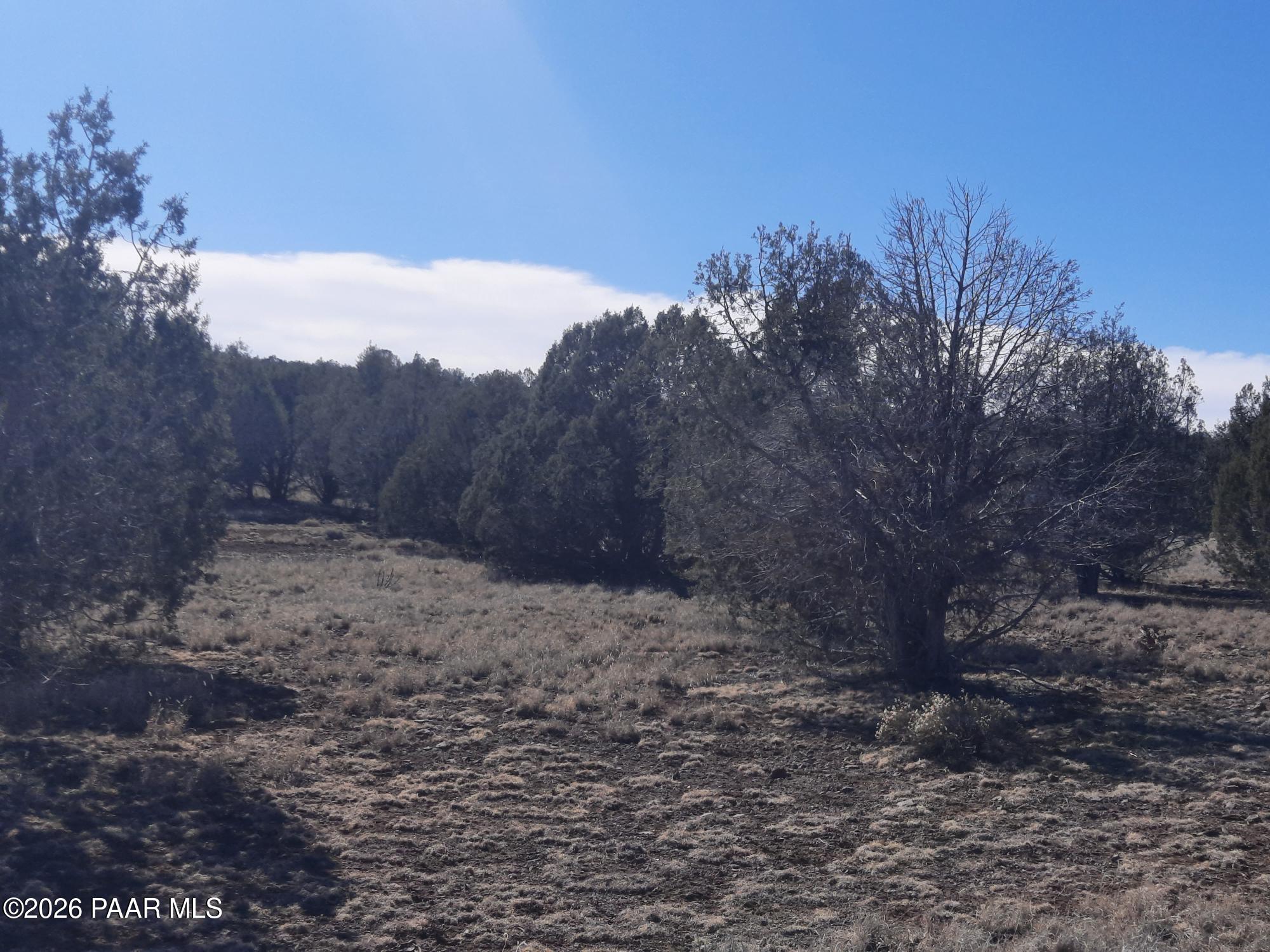 Lot 850 West Fort Rock Road Seligman, AZ 86337 - Photo 14 of 16 20260205_132110