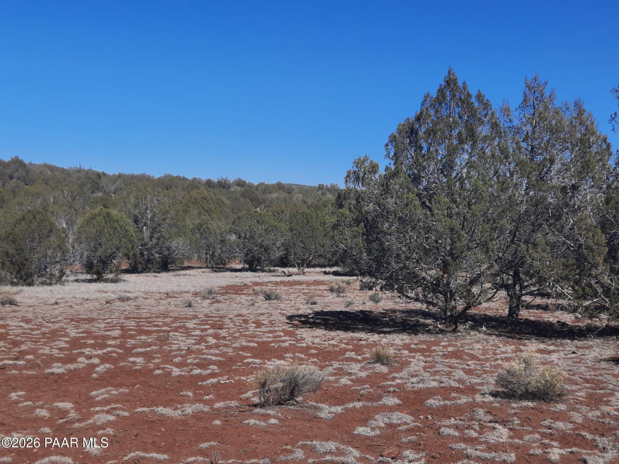 Lot 850 West Fort Rock Road Seligman, AZ 86337 - Photo 4 of 16 20260205_130232