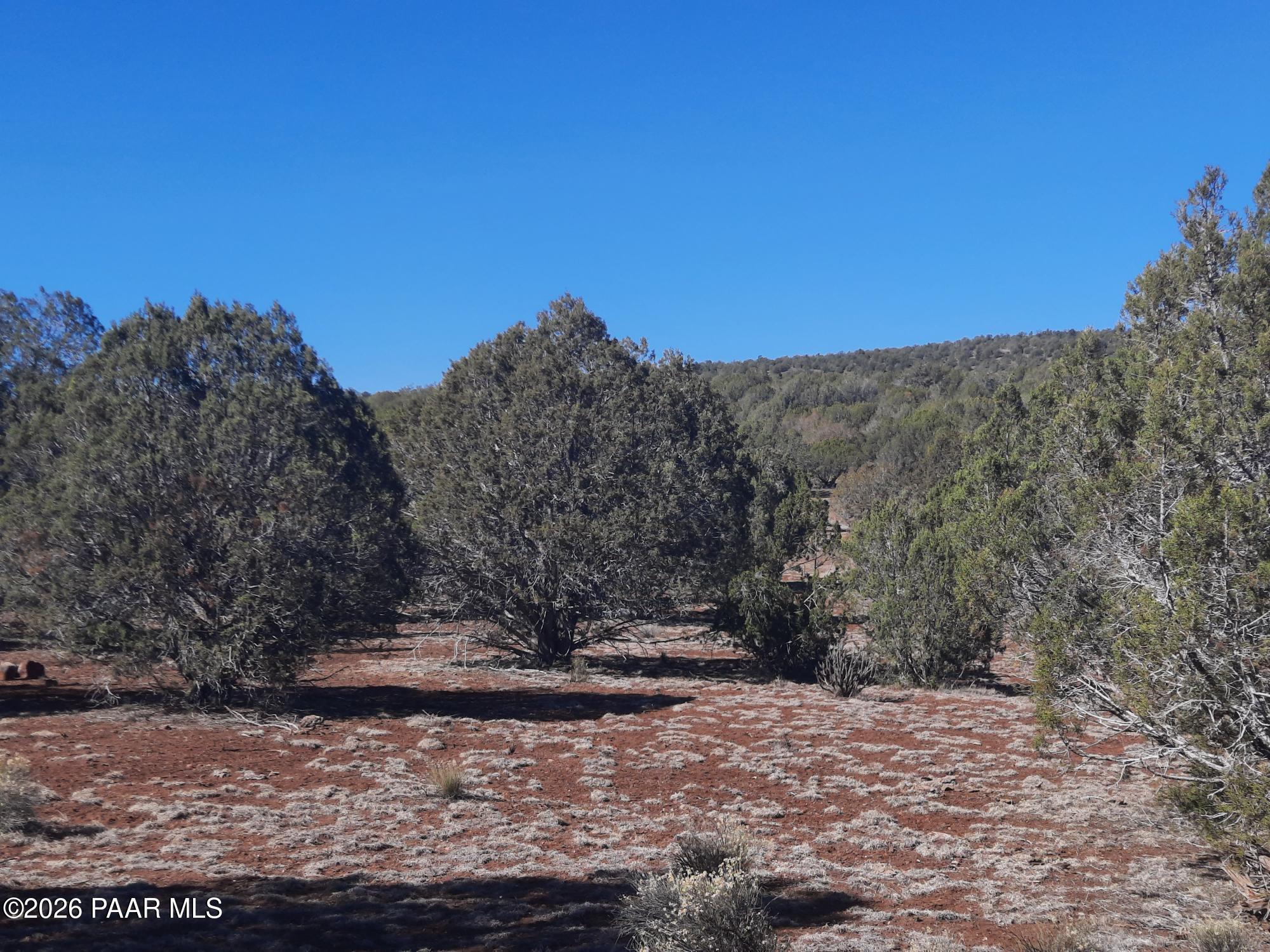 Lot 850 West Fort Rock Road Seligman, AZ 86337 - Photo 5 of 16 20260205_130323