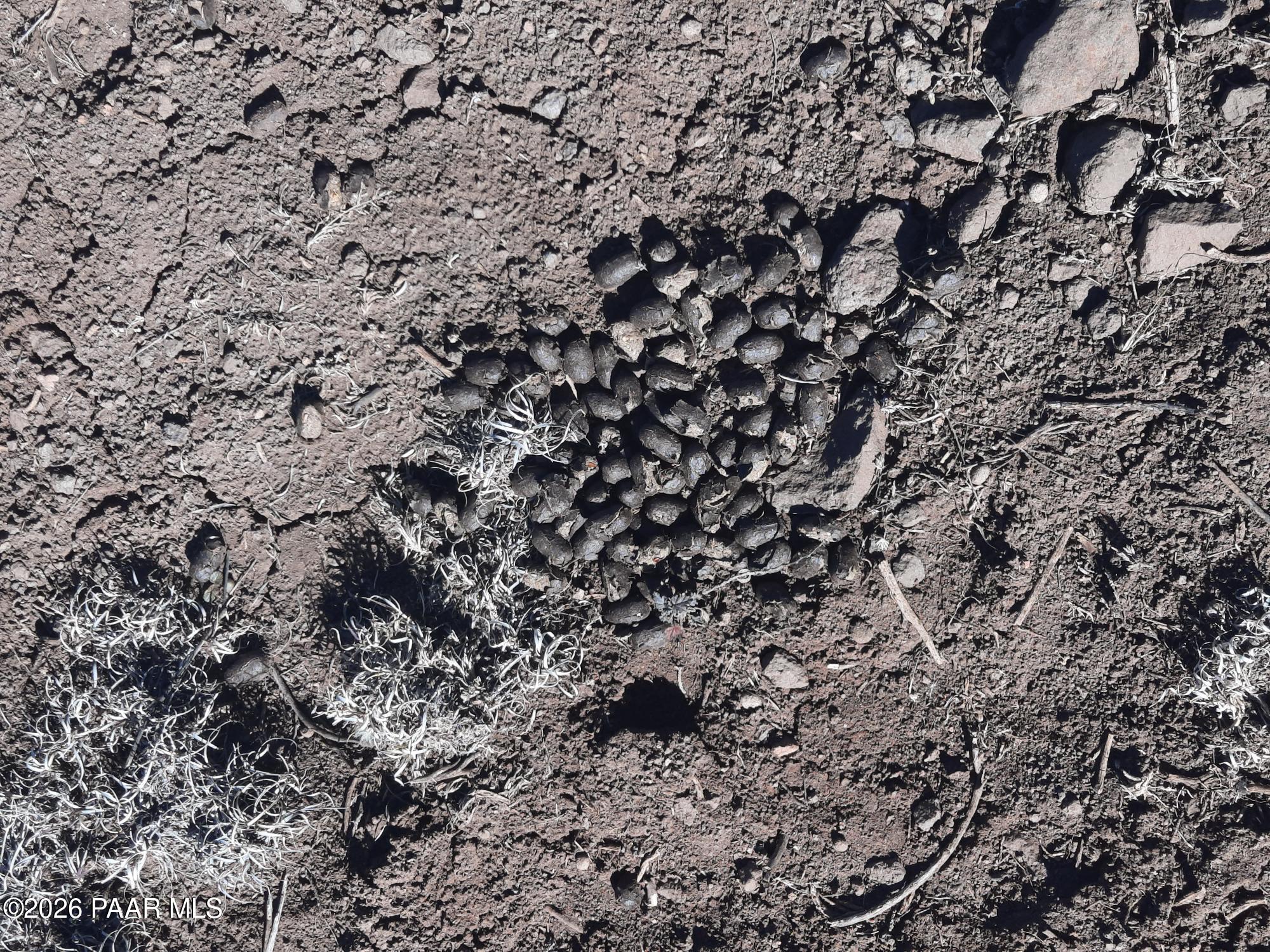 Lot 850 West Fort Rock Road Seligman, AZ 86337 - Photo 8 of 16 20260205_130456