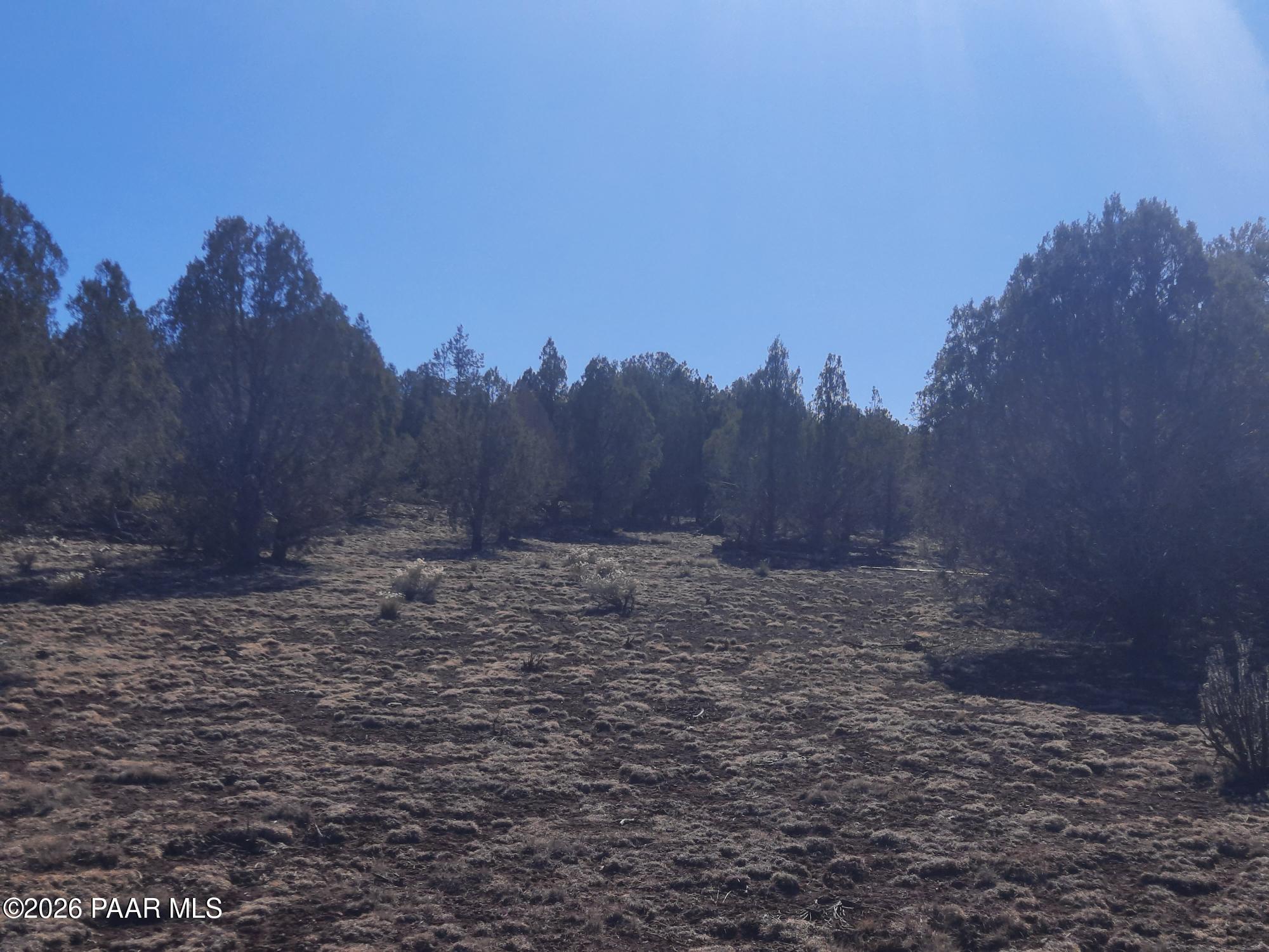Lot 850 West Fort Rock Road Seligman, AZ 86337 - Photo 9 of 16 20260205_130627