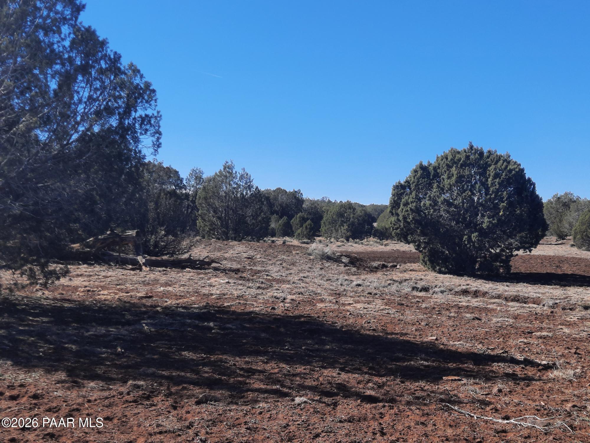 Lot 850 West Fort Rock Road Seligman, AZ 86337 - Photo 10 of 16 20260205_130737