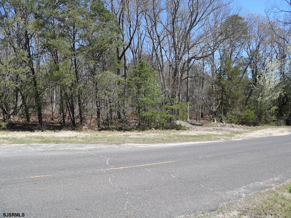 351 Shaws Mill Road Newport, NJ 08345 - Photo 42 of 84