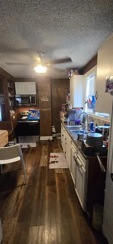 a view of a house with backyard and tree