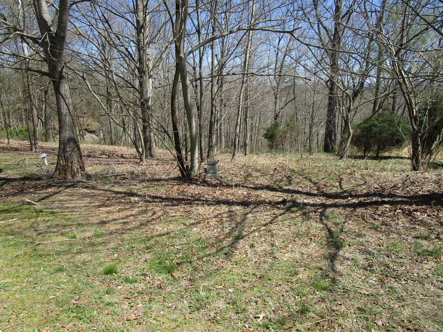 3910 Pine Ridge Road Winchester, KY 40391 - Photo 37 of 40 Photo 37