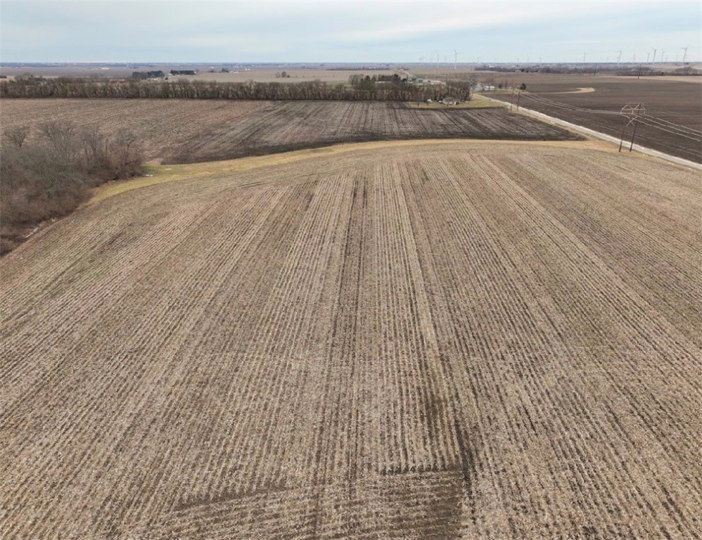 20988 Newtown Road Danville, IL 61834 - Photo 5 of 5
