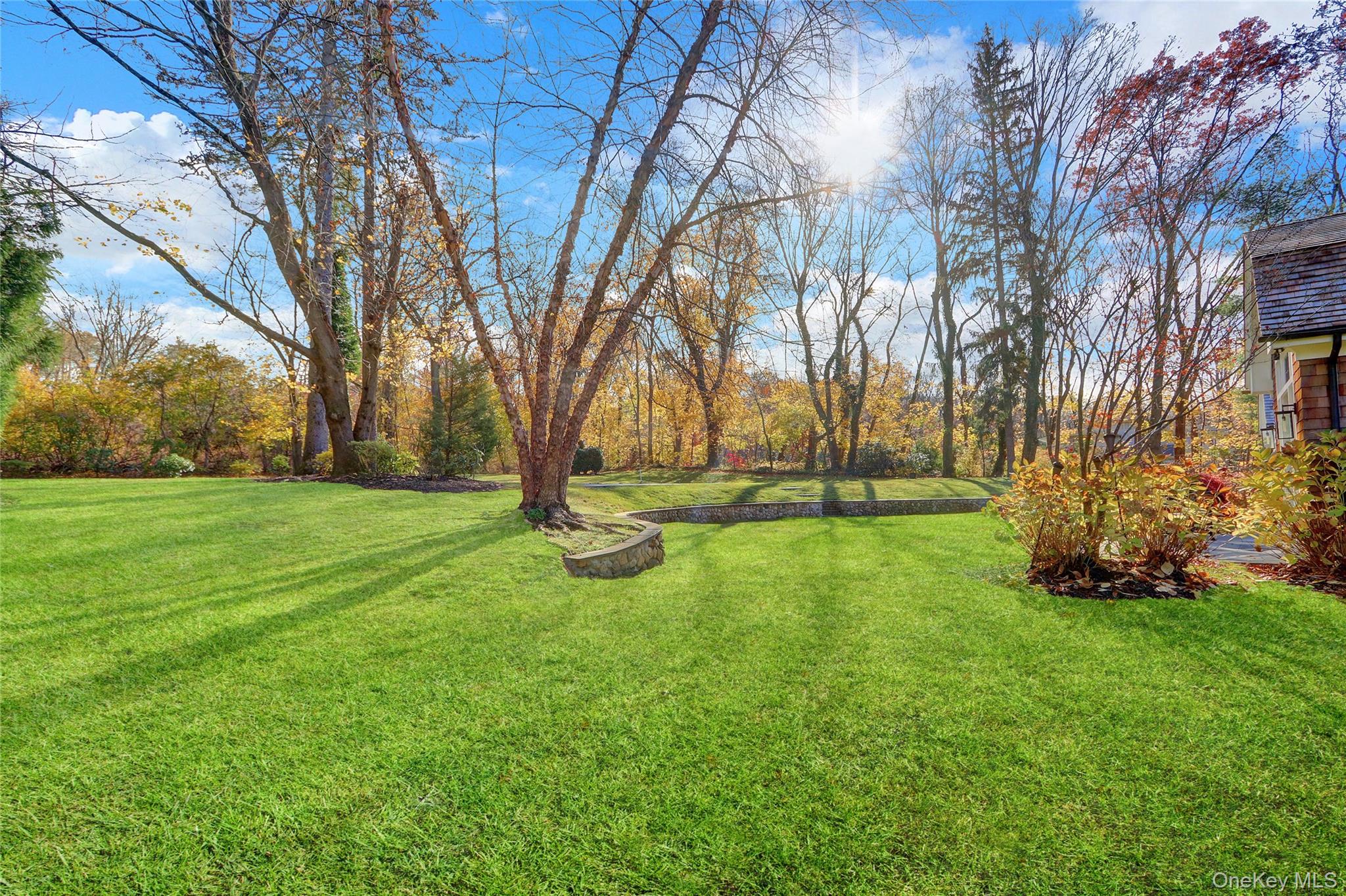 119 Wheatley Road Old Westbury, NY 11568 - Photo 41 of 45 a view of yard with tree
