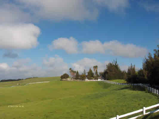 59-1791 Kohala Ranch Road Kamuela, HI 96743 - Photo 1 of 20 Gallery Image 1