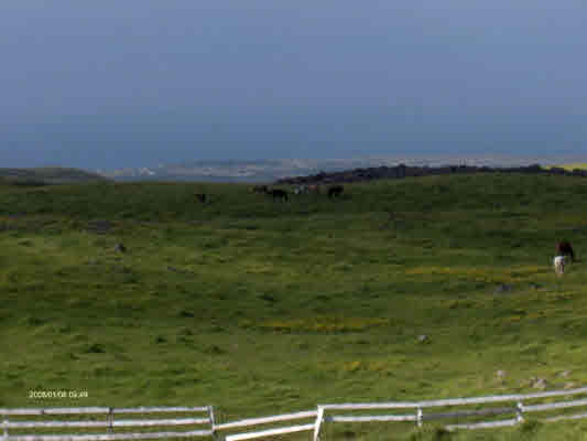 59-1791 Kohala Ranch Road Kamuela, HI 96743 - Photo 4 of 20 Gallery Image 4