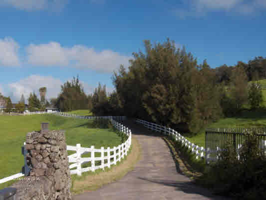 59-1791 Kohala Ranch Road Kamuela, HI 96743 - Photo 5 of 20 Gallery Image 5