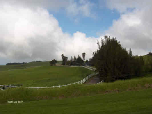 59-1791 Kohala Ranch Road Kamuela, HI 96743 - Photo 6 of 20 Gallery Image 6