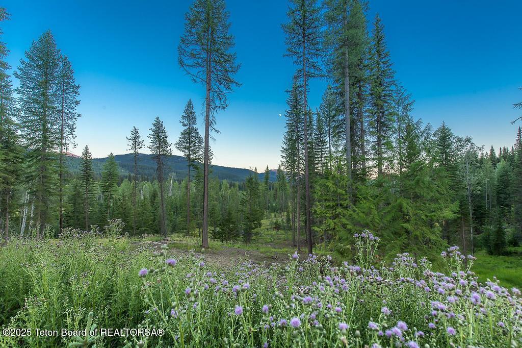 37258 Yaak River Road Troy, MT 59935 - Photo 14 of 74 14