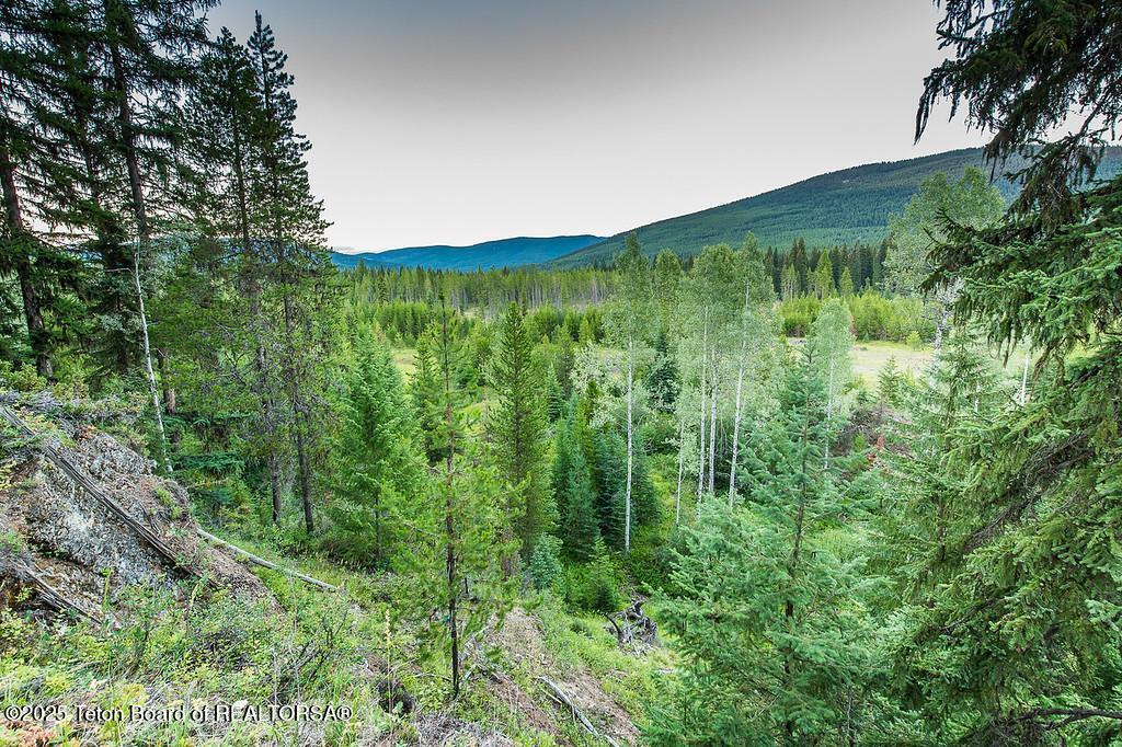 37258 Yaak River Road Troy, MT 59935 - Photo 56 of 74 56