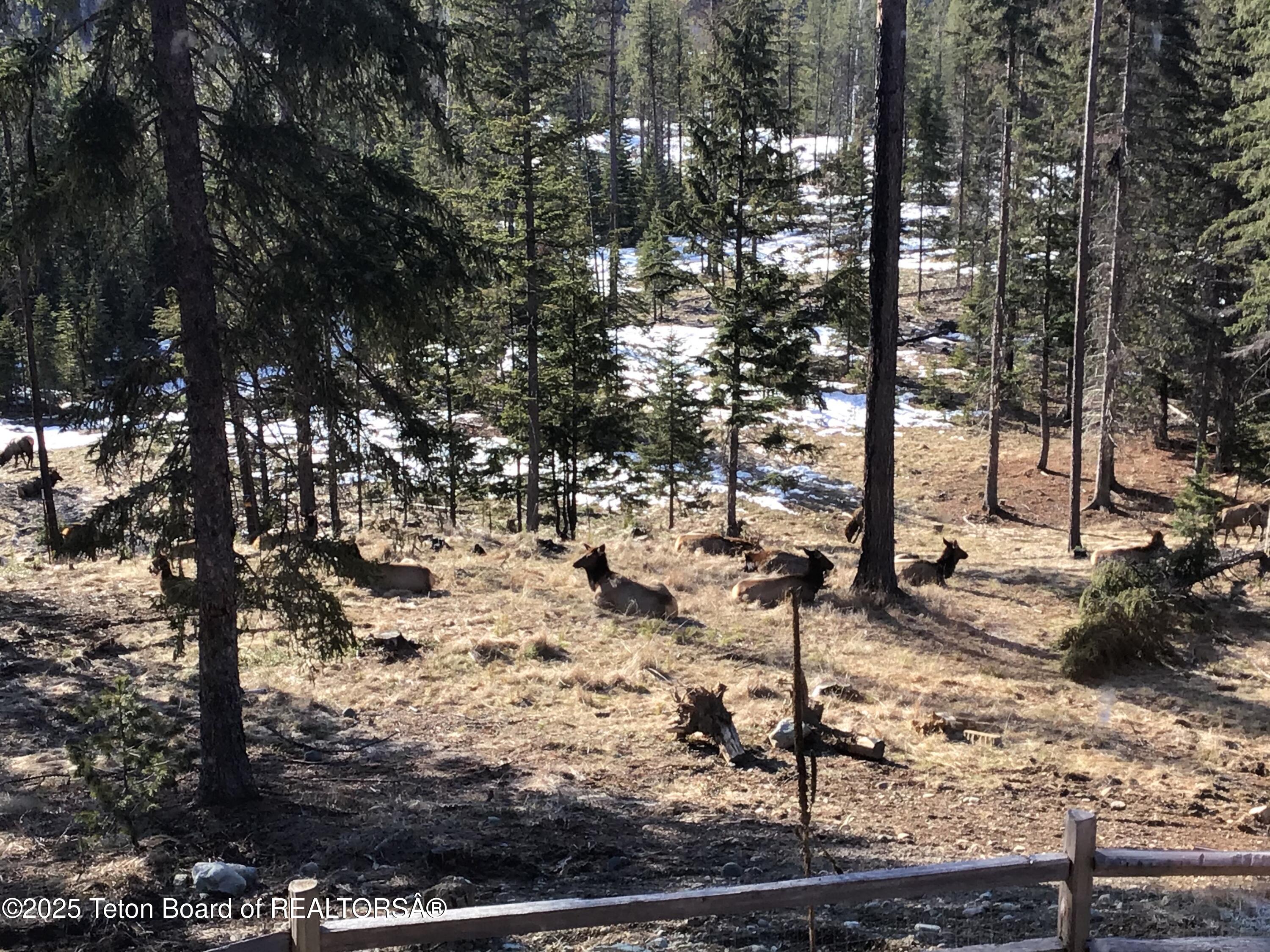 37258 Yaak River Road Troy, MT 59935 - Photo 67 of 74 77274D56-7209-4887-8B6B-827E1B692013