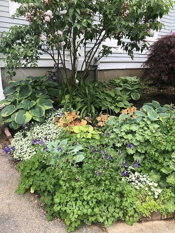374 River Road Andover, MA 01810 - Photo 38 of 42