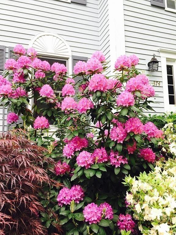 374 River Road Andover, MA 01810 - Photo 39 of 42