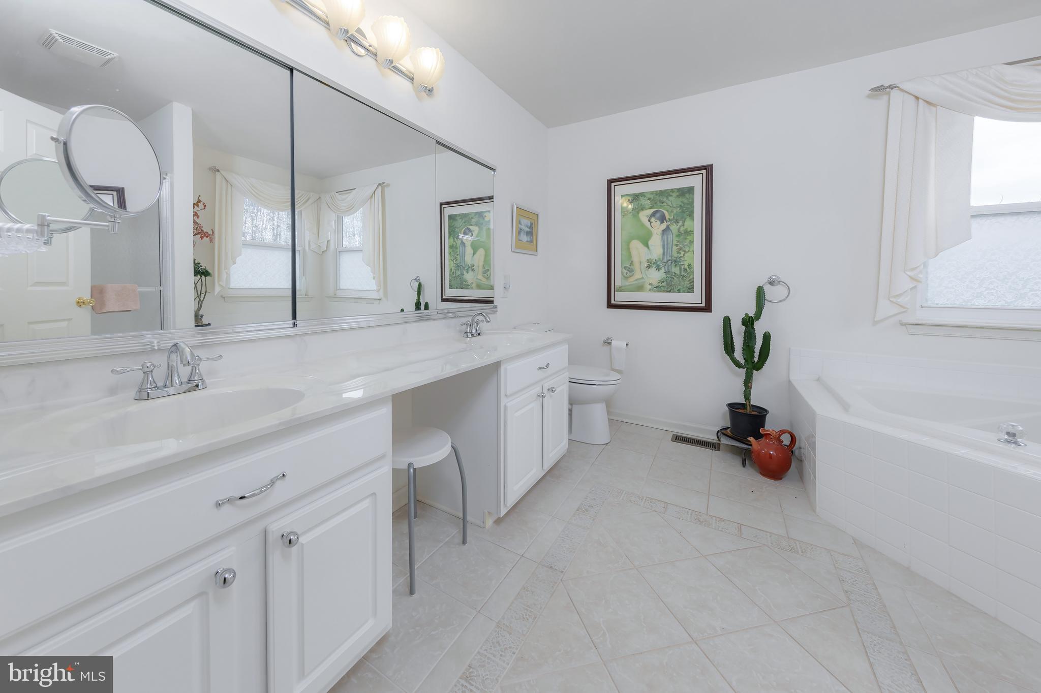 316 Pickwick Drive Williamstown, NJ 08094 - Photo 20 of 44 a spacious en suite bathroom with a double vanity sink a mirror and a bathtub