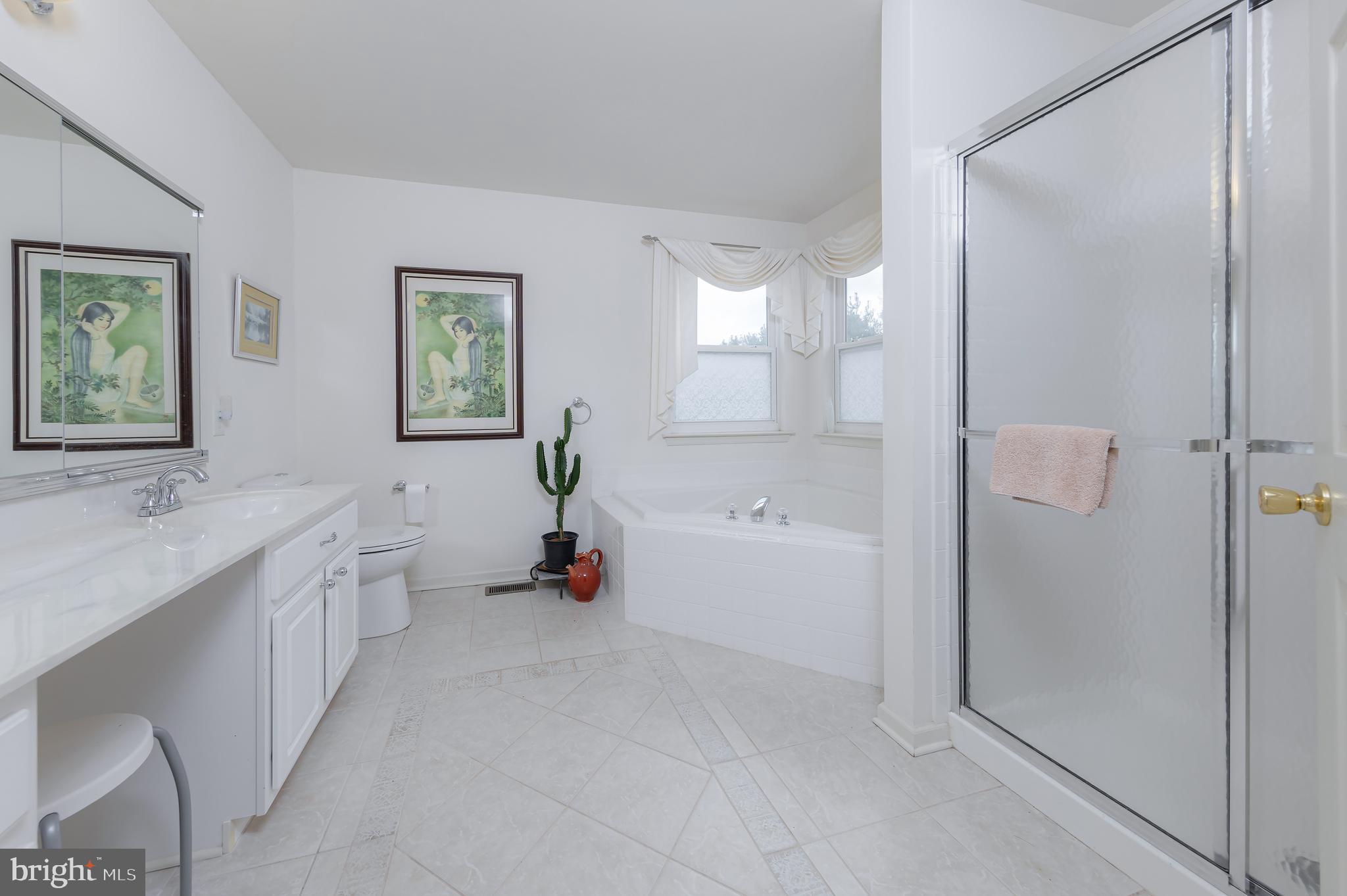 316 Pickwick Drive Williamstown, NJ 08094 - Photo 21 of 44 a bathroom with a tub sink and mirror